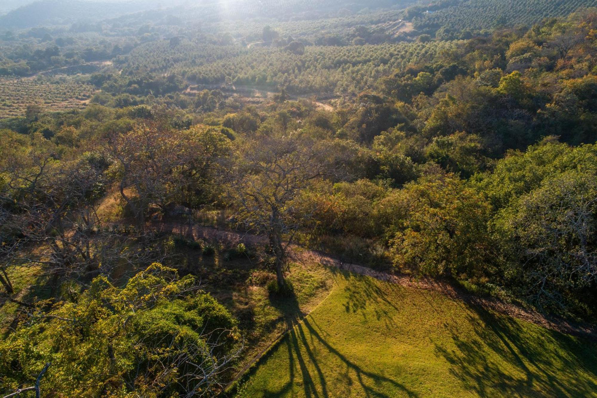 Chestnut Country Lodge Хейзивю Екстериор снимка